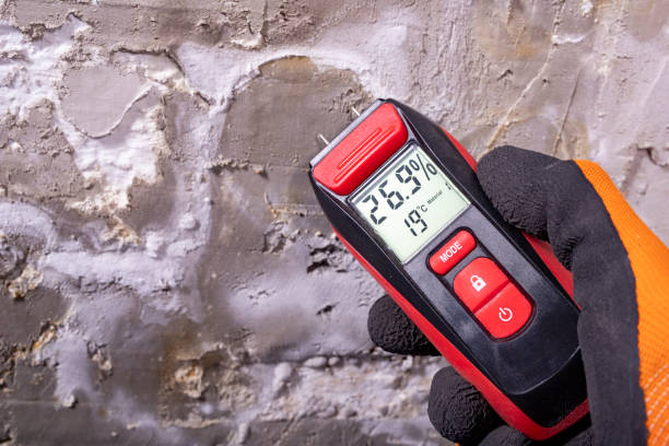 Best Mold Testing and Inspection Services in Mount Airy, MD