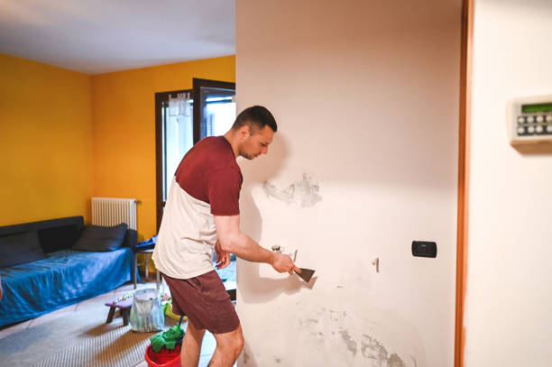 Best Commercial Mold Remediation in Mount Airy, MD